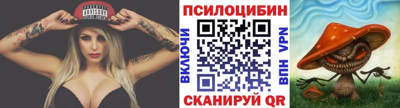 Псилоцибиновые грибы GOLDEN TEACHER  наркошоп  Кашин 